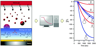 Graphical abstract: Sensing ionic liquids for chemoselective detection of acyclic and cyclic ketone gases