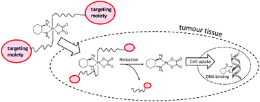 Graphical abstract: Maleimide-functionalised platinum(iv) complexes as a synthetic platform for targeted drug delivery