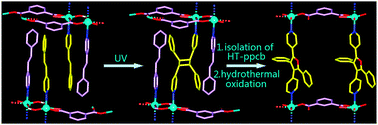 Graphical abstract: Stepwise ligand transformations through [2+2] photodimerization and hydrothermal in situ oxidation reactions