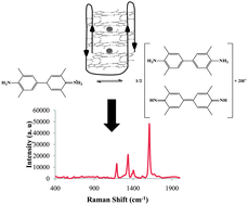 Graphical abstract: Resonance Raman scattering of catalytic beacons for DNA detection