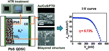 Graphical abstract: Design and development of highly efficient PbS quantum dot-sensitized solar cells working in an aqueous polysulfide electrolyte