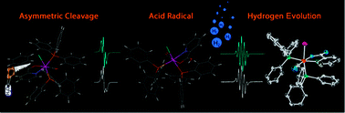 Graphical abstract: Asymmetric cleavage of 2,2′-pyridil to a picolinic acid anion radical coordinated to ruthenium(ii): splitting of water to hydrogen