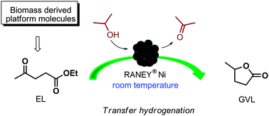 Graphical abstract: RANEY® Ni catalyzed transfer hydrogenation of levulinate esters to γ-valerolactone at room temperature