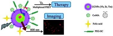 Graphical abstract: Separately doped upconversion-C60 nanoplatform for NIR imaging-guided photodynamic therapy of cancer cells