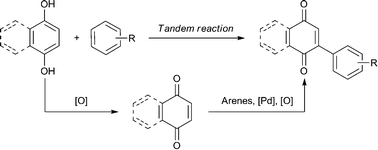 Graphical abstract: Tandem oxidation–oxidative C–H/C–H cross-coupling: synthesis of arylquinones from hydroquinones