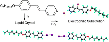 Graphical abstract: Halogen-bonded liquid crystals of 4-alkoxystilbazoles with molecular iodine: a very short halogen bond and unusual mesophase stability