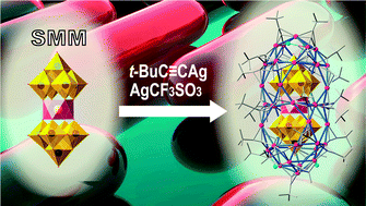 Graphical abstract: A giant metallo-supramolecular cage encapsulating a single-molecule magnet
