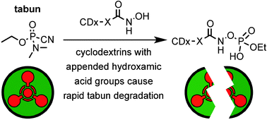 Graphical abstract: Tabun scavengers based on hydroxamic acid containing cyclodextrins