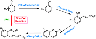 Graphical abstract: One-pot catalysis of dehydrogenation of cyclohexanones to phenols and oxidative Heck coupling: expedient synthesis of coumarins