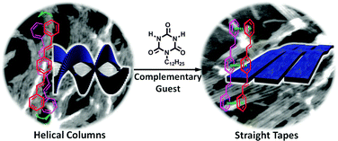 Graphical abstract: Guided supramolecular polymerization of oligo(p-phenylenevinylene) functionalized bismelamines