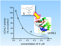 Graphical abstract: Deubiquitinases as potential anti-cancer targets for gold(iii) complexes