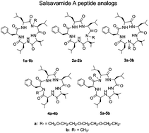 Graphical abstract: N-Triethylene glycol (N-TEG) as a surrogate for the N-methyl group: application to Sansalvamide A peptide analogs
