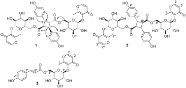 Graphical abstract: Two novel innovanoside dimers from Daphne aurantiaca and a concise total synthesis of diinnovanoside A
