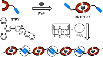 Graphical abstract: Cucurbit[8]uril-based supramolecular polymers: promoting supramolecular polymerization by metal-coordination