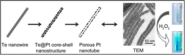 Graphical abstract: Aqueous synthesis of porous platinum nanotubes at room temperature and their intrinsic peroxidase-like activity