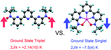 Graphical abstract: A supramolecular switch between ground high- and low-spin states using 2,2′:6′,2′′-terpyridine-6,6′′-diyl bis(tert-butyl nitroxide)