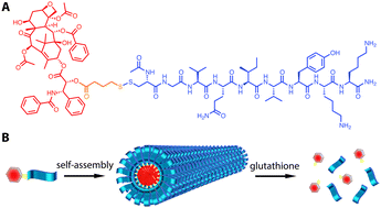 Graphical abstract: Supramolecular filaments containing a fixed 41% paclitaxel loading