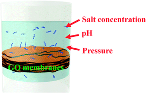 Graphical abstract: Salt concentration, pH and pressure controlled separation of small molecules through lamellar graphene oxide membranes