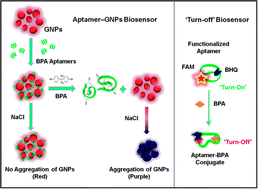 Graphical abstract: Functionalized aptamers as nano-bioprobes for ultrasensitive detection of bisphenol-A