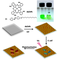 Graphical abstract: Honeycomb-patterned phthalocyanine films with photo-active antibacterial activities