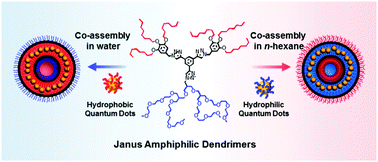 Graphical abstract: Organic–inorganic vesicular hybrids driven by assembly of dendritic amphiphiles: site-selective encapsulation of nanoparticles