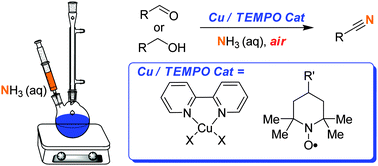 Graphical abstract: Copper/TEMPO catalysed synthesis of nitriles from aldehydes or alcohols using aqueous ammonia and with air as the oxidant