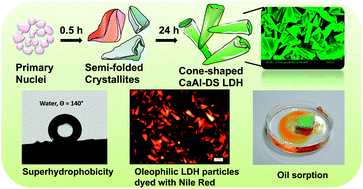 Graphical abstract: Synthesis of a novel cone-shaped CaAl-layered double hydroxide (LDH): its potential use as a reversible oil sorbent