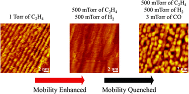 Graphical abstract: Mobility on the reconstructed Pt(100)-hex surface in ethylene and in its mixture with hydrogen and carbon monoxide