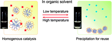 Graphical abstract: Temperature-responsive enzyme–polymer nanoconjugates with enhanced catalytic activities in organic media