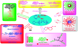 Graphical abstract: Designing polyethylenes of complex chain architectures via Pd–diimine-catalyzed “living” ethylene polymerization