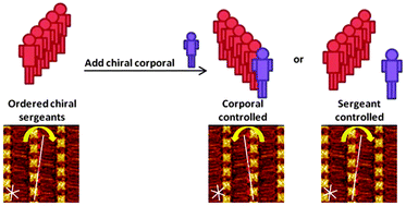 Graphical abstract: ‘Sergeants-and-Corporals’ principle in chiral induction at an interface
