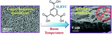 Graphical abstract: Room temperature synthesis of free-standing HKUST-1 membranes from copper hydroxide nanostrands for gas separation