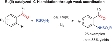 Graphical abstract: Ru(ii)-catalyzed intermolecular C–H amidation of weakly coordinating ketones