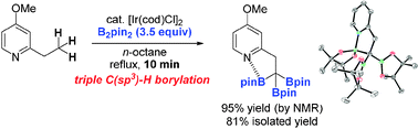 Graphical abstract: Iridium-catalyzed triple C(sp3)–H borylations: construction of triborylated sp3-carbon centers