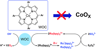 Graphical abstract: Cobalt porphyrins as homogeneous catalysts for water oxidation