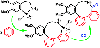 Graphical abstract: Benzyne–benzyne–RNC or CO triple sequential insertion into the Pd–C bond: synthesis of ten-membered N-heterocycles through stable ten- and eleven-membered palladacycles