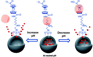 Graphical abstract: Controlled release of cargo molecules from hollow mesoporous silica nanoparticles based on acid and base dual-responsive cucurbit[7]uril pseudorotaxanes