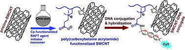Graphical abstract: A facile one-pot route to poly(carboxybetaine acrylamide) functionalized SWCNTs