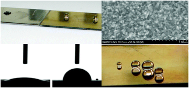 Graphical abstract: A robust transparent and anti-fingerprint superhydrophobic film
