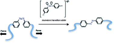Graphical abstract: Mechano-isomerization of azobenzene