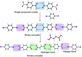 Graphical abstract: Designing ternary cocrystals with hydrogen bonds and halogen bonds