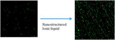 Graphical abstract: Inducing alignment of cyclic peptide nanotubes through the use of structured ionic liquids
