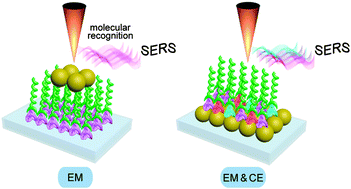Graphical abstract: Identification of molecular recognition of Langmuir–Blodgett monolayers using surface-enhanced Raman scattering spectroscopy