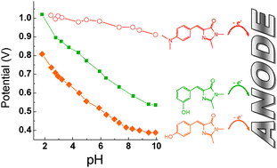Graphical abstract: Spectral and redox properties of the GFP synthetic chromophores as a function of pH in buffered media