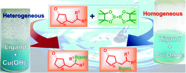 Graphical abstract: Heterogeneous and homogeneous chiral Cu(ii) catalysis in water: enantioselective boron conjugate additions to dienones and dienoesters