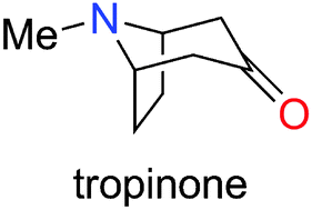 Graphical abstract: Robinson's landmark synthesis of tropinone