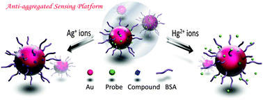 Graphical abstract: Design of an anti-aggregated SERS sensing platform for metal ion detection based on bovine serum albumin-mediated metal nanoparticles