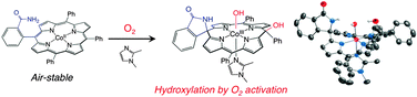 Graphical abstract: Biomimic O2 activation hydroxylates a meso-carbon of the porphyrin ring regioselectively under mild conditions