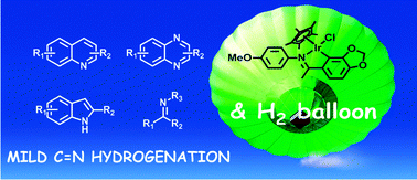 Graphical abstract: Robust cyclometallated Ir(iii) catalysts for the homogeneous hydrogenation of N-heterocycles under mild conditions