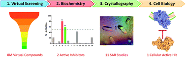Graphical abstract: Virtual screening and experimental validation reveal novel small-molecule inhibitors of 14-3-3 protein–protein interactions